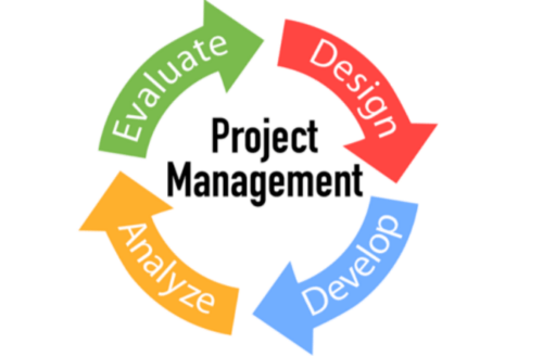 Expert Microsoft Project Consultants for Efficient Project ...
